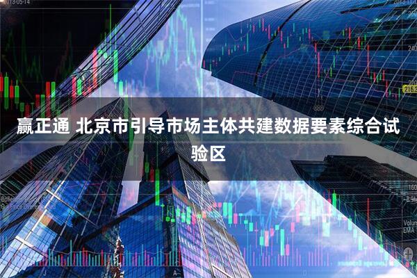 赢正通 北京市引导市场主体共建数据要素综合试验区