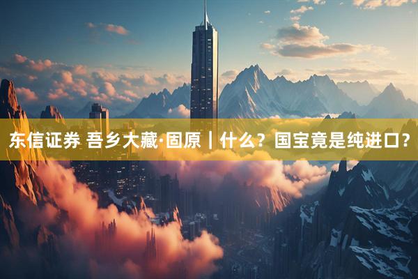 东信证券 吾乡大藏·固原｜什么？国宝竟是纯进口？