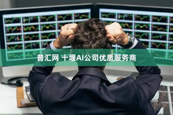 普汇网 十堰AI公司优质服务商
